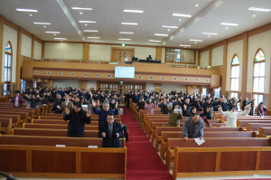 DSC04317